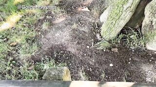 Teenie Pecker Showcasing in Public Damsel Ambling High Risk