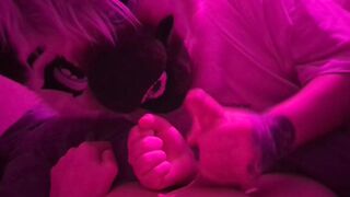 Kitten sense today more talkative than usual~