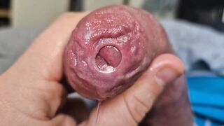 Uncircumcised Covert Head Precum Have fun